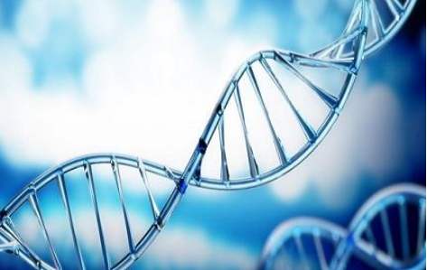 百傲2019再穫三證,進入DNA免提時代